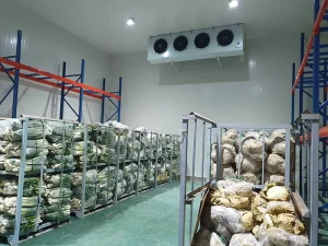 Cool Storage Cikarang